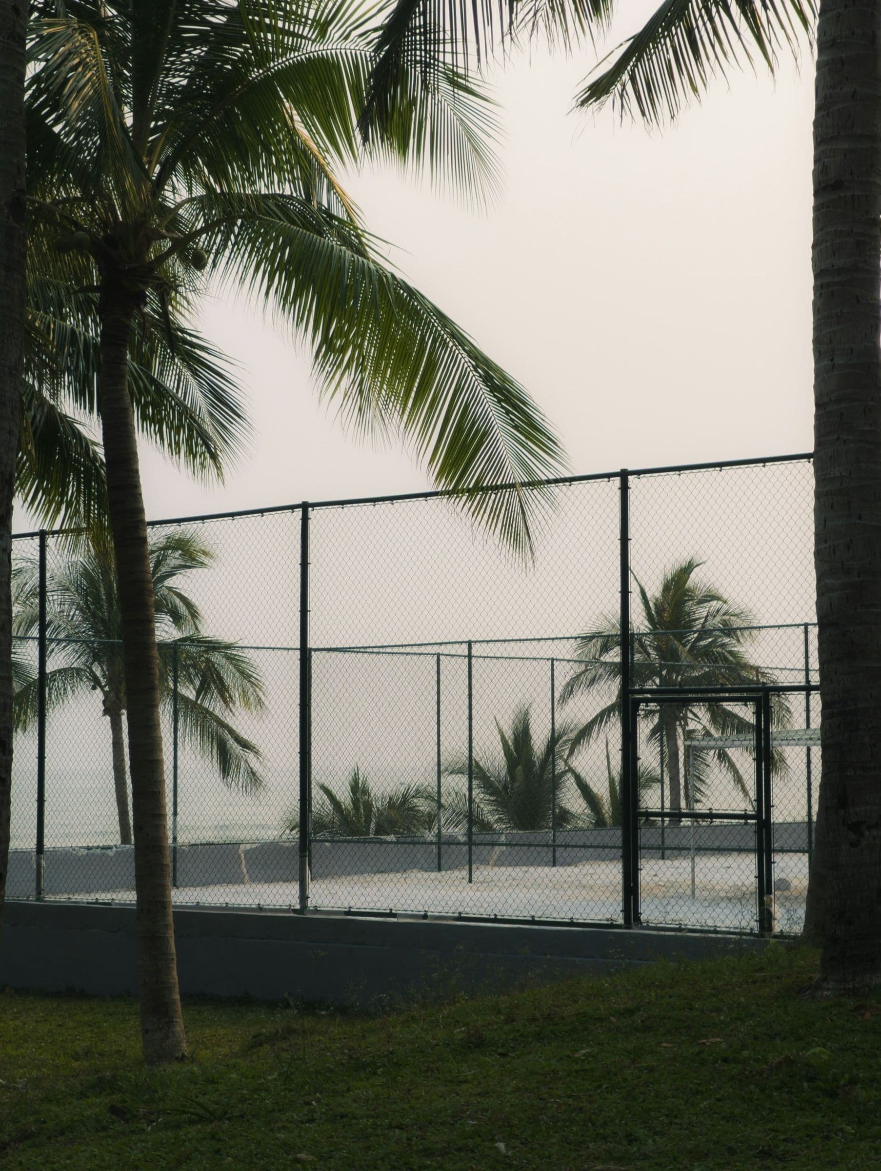 A garden court framed by palm trees