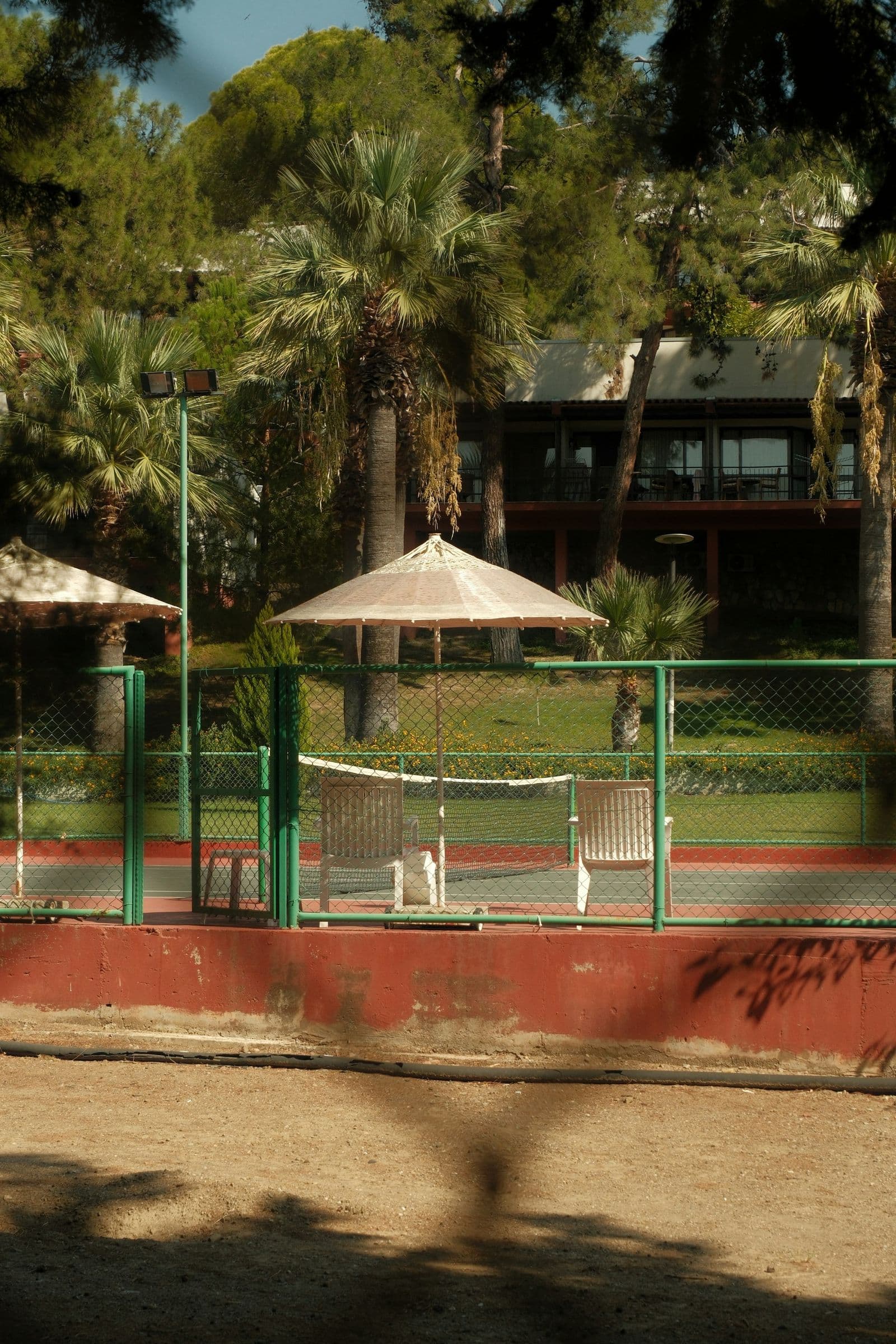 An outdoor court with a parasol and palm trees