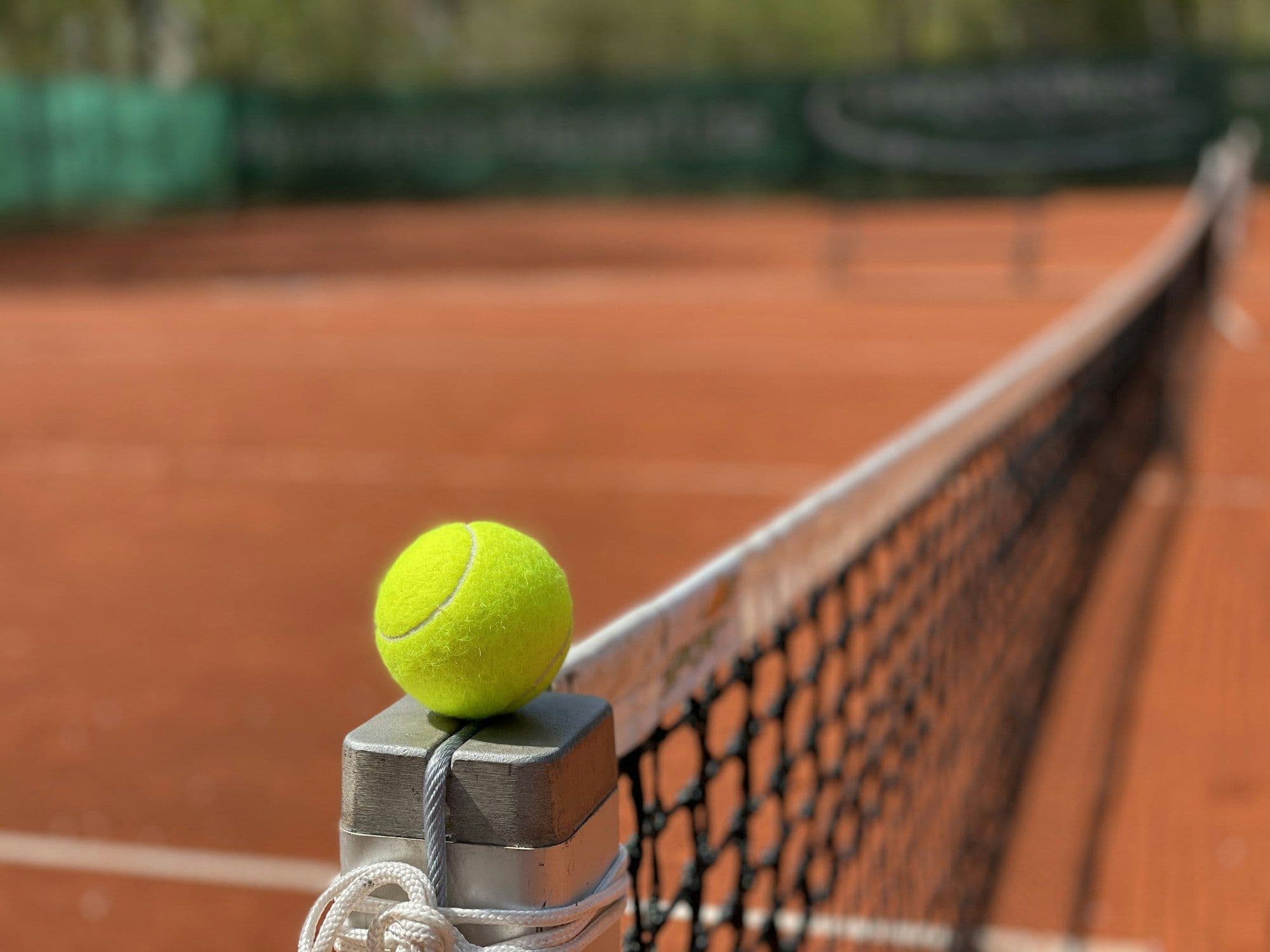 A tennis ball resting on the net of a clay court